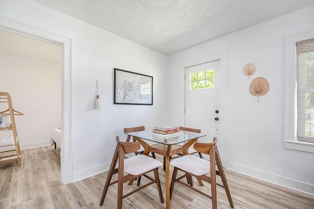 501 Sherwood Ave, Three Oaks, MI 49128 - dining space with light wood finished floors and a textured ceiling