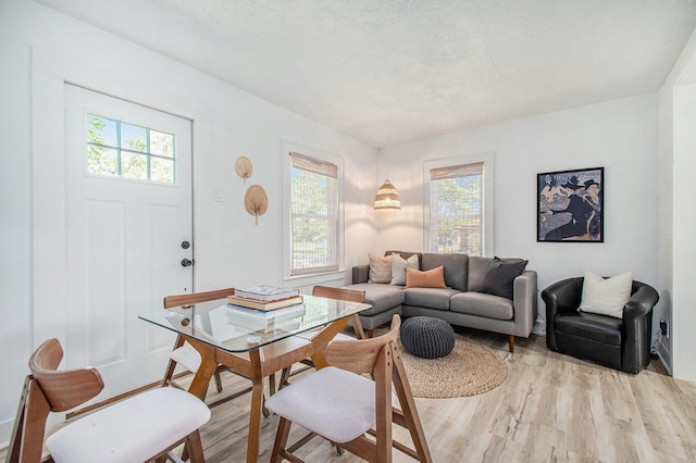 501 Sherwood Ave, Three Oaks, MI 49128 - living area featuring light wood-style flooring, plenty of natural light, and a textured ceiling