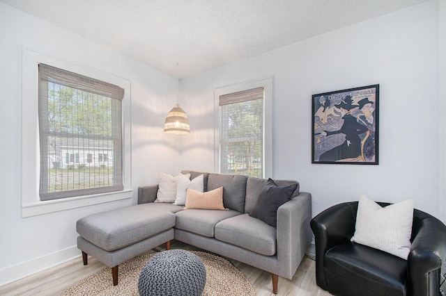 501 Sherwood Ave, Three Oaks, MI 49128 - living room featuring light wood-type flooring and plenty of natural light