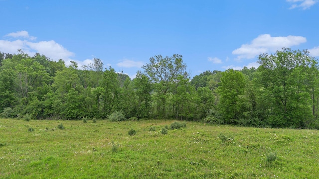 0 E Clear Lake Rd, Buchanan, MI 49107