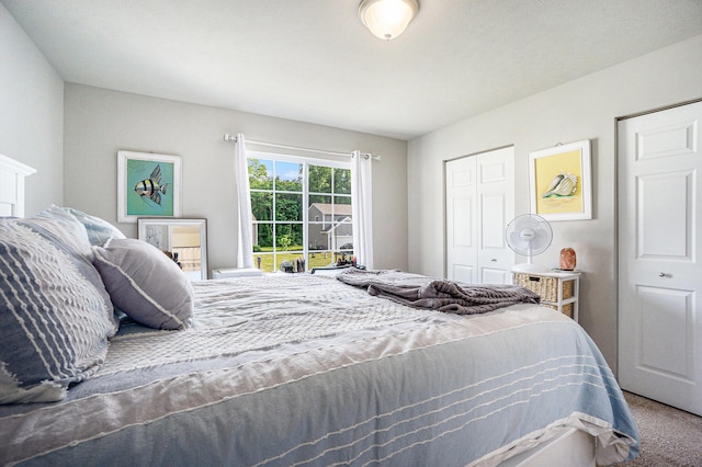 25220 Forest Ln, Mattawan, MI 49071 - bedroom with carpet and a closet