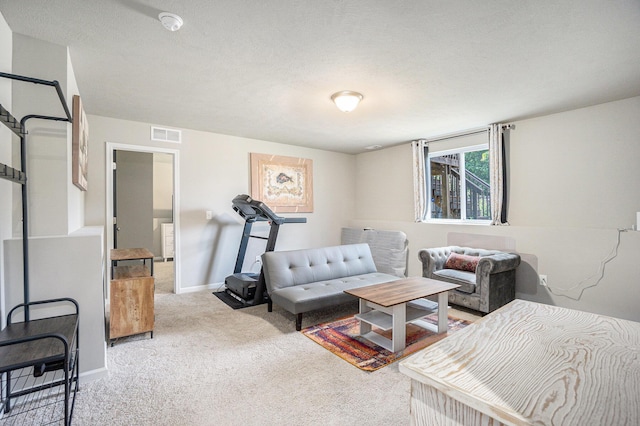 25220 Forest Ln, Mattawan, MI 49071 - living area with carpet floors and baseboards