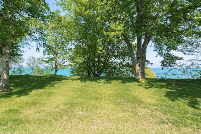 2821 Lakeshore Rd, Lexington, MI 48450 - view of green lawn