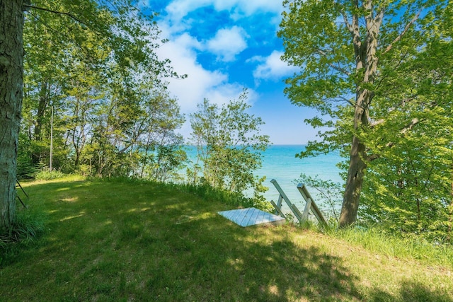 2821 Lakeshore Rd, Lexington, MI 48450 - view of green lawn featuring a water view