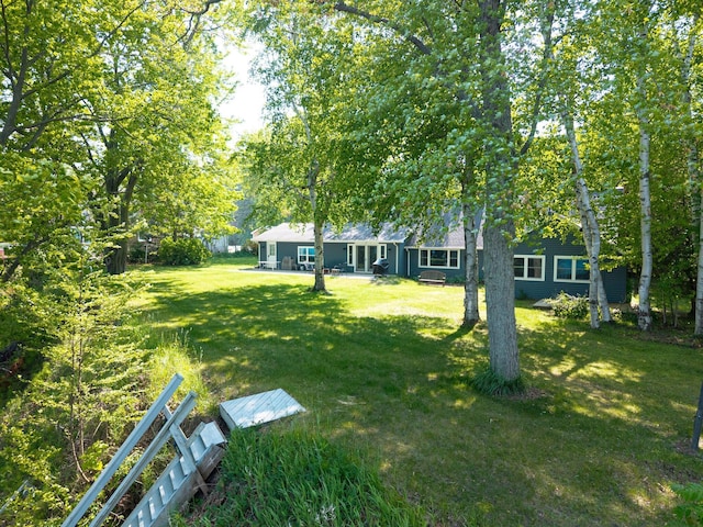 2821 Lakeshore Rd, Lexington, MI 48450 - view of green lawn
