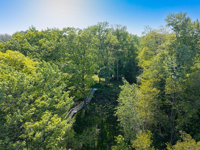 2821 Lakeshore Rd, Lexington, MI 48450 - view of wooded area