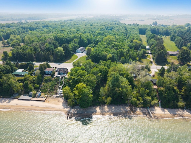 2821 Lakeshore Rd, Lexington, MI 48450 - bird's eye view of a heavily wooded area