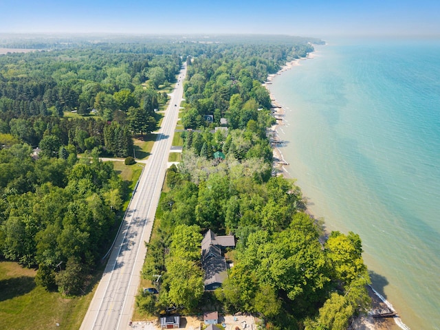 2821 Lakeshore Rd, Lexington, MI 48450 - bird's eye view of a large body of water and a forest