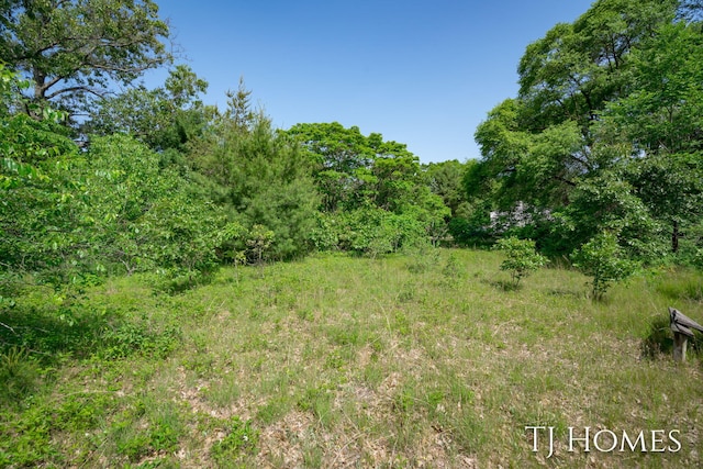 VL E White Lake Dr, Twin Lake, MI 49457 - photo 3