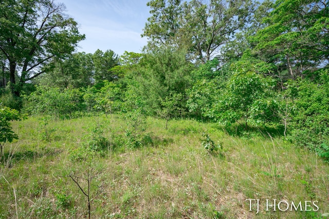 VL E White Lake Dr, Twin Lake, MI 49457 - photo 4
