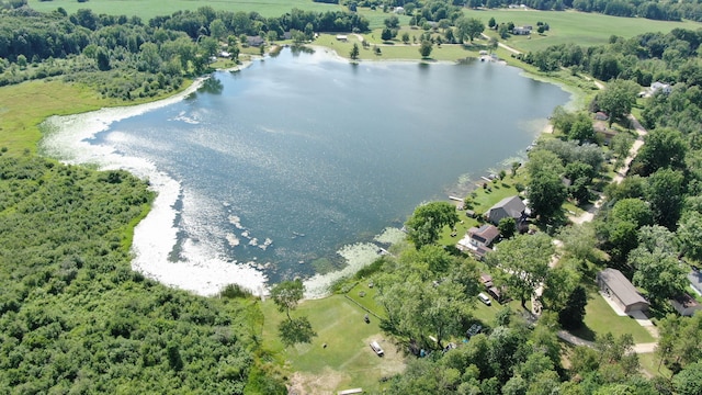 7881 Little Penny Ln, Six Lakes, MI 48886 - photo 3