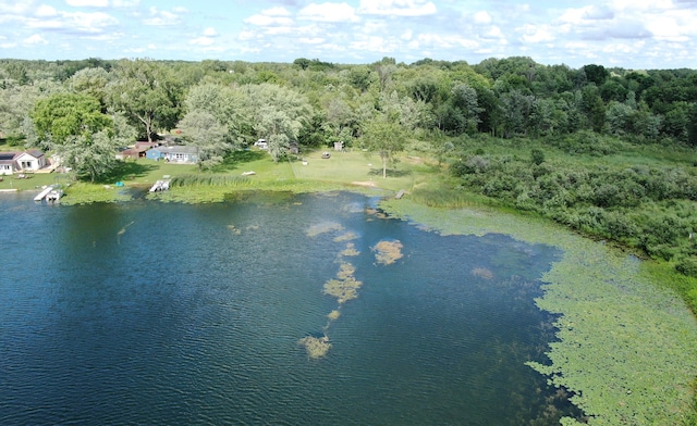 7881 Little Penny Ln, Six Lakes, MI 48886 - photo 11