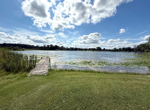 7881 Little Penny Ln, Six Lakes, MI 48886 - photo 12