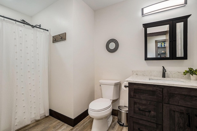 2480 S 148th Ave, Hesperia, MI 49421 - full bathroom with wood finished floors, vanity, and a shower with curtain