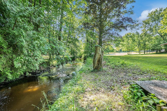 2480 S 148th Ave, Hesperia, MI 49421 - view of yard