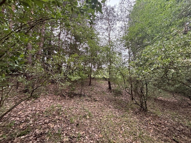 V/L10.55A E Grant Rd, Hesperia, MI 49421