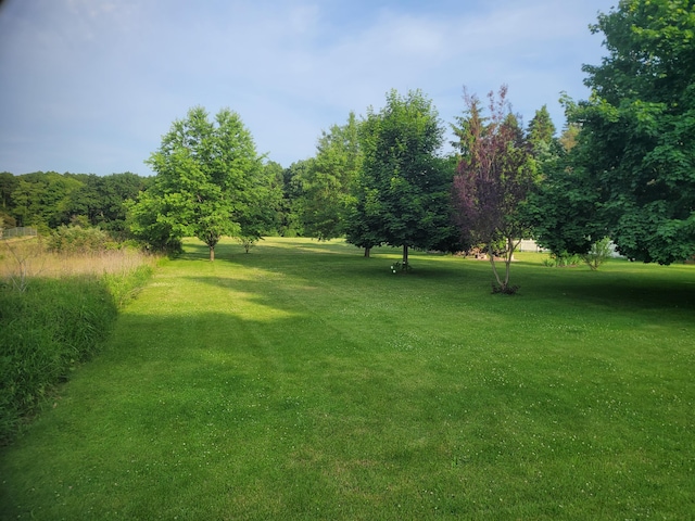 10041 Brooklawn Ct, Jerome, MI 49249 - photo 3