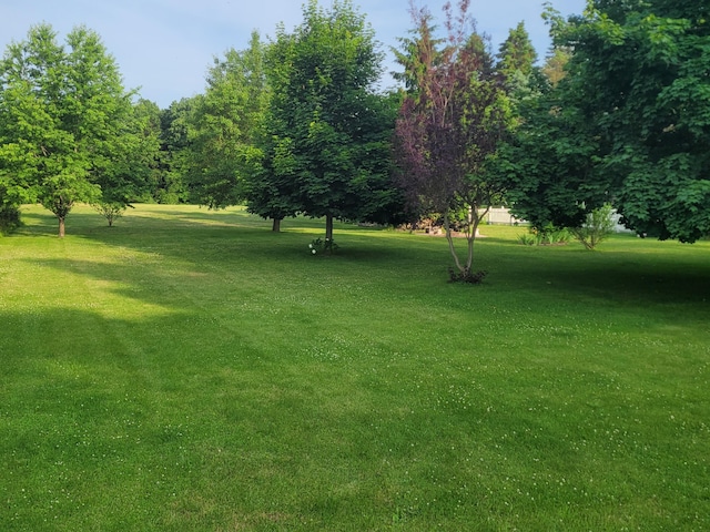 10041 Brooklawn Ct, Jerome, MI 49249 - photo 1