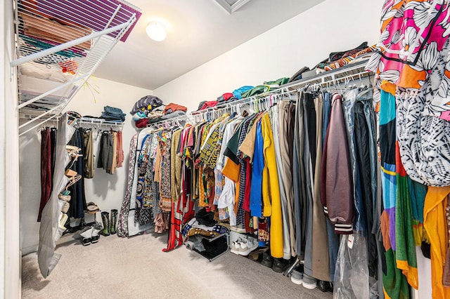 1735 Savannah Ln, Ypsilanti, MI 48198 - spacious closet with carpet floors