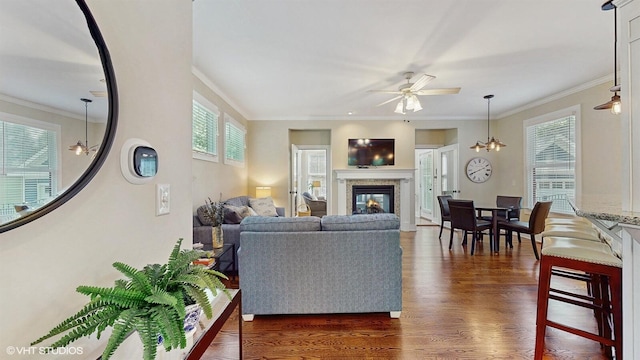 120 S Kenzie St, New Buffalo, MI 49117 - living area with dark wood finished floors, crown molding, a glass covered fireplace, a ceiling fan, and a chandelier