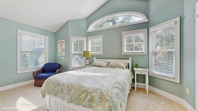120 S Kenzie St, New Buffalo, MI 49117 - bedroom with lofted ceiling and carpet flooring