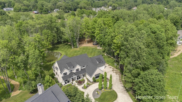 8069 Ella Terrace Ct, Rockford, MI 49341 - aerial view of a forest