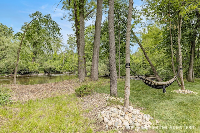 8069 Ella Terrace Ct, Rockford, MI 49341 - view of yard featuring a water view and a view of trees