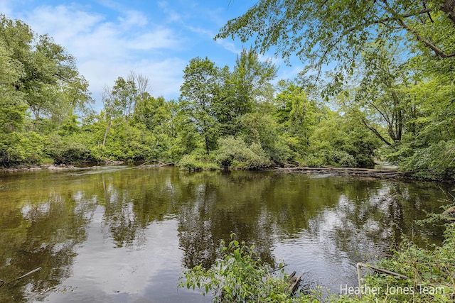 8069 Ella Terrace Ct, Rockford, MI 49341 - water view featuring a forest