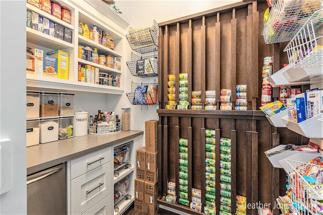 8069 Ella Terrace Ct, Rockford, MI 49341 - view of pantry