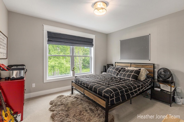 8069 Ella Terrace Ct, Rockford, MI 49341 - carpeted bedroom with baseboards