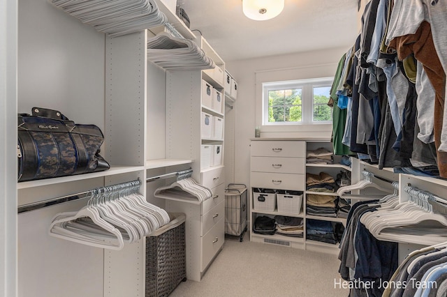 8069 Ella Terrace Ct, Rockford, MI 49341 - spacious closet with light carpet