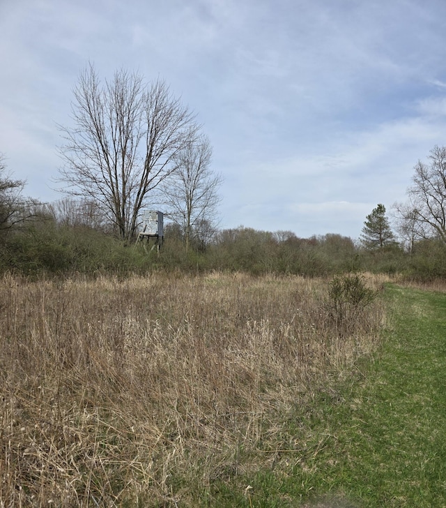 Cedar Lake Rd, Fenwick, MI 48834