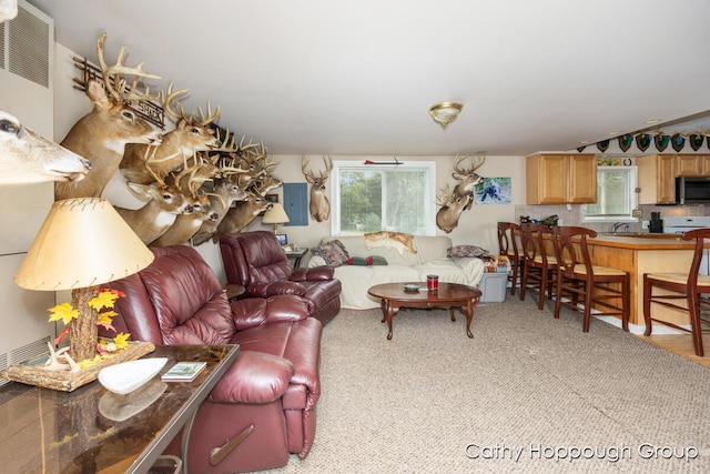 Cedar Lake Rd, Fenwick, MI 48834