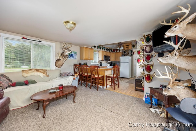 Cedar Lake Rd, Fenwick, MI 48834