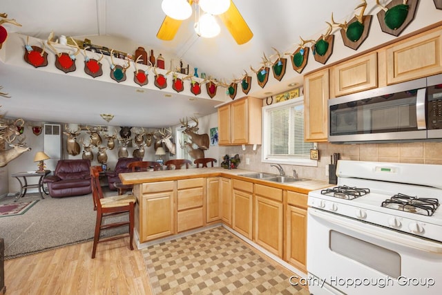 Cedar Lake Rd, Fenwick, MI 48834