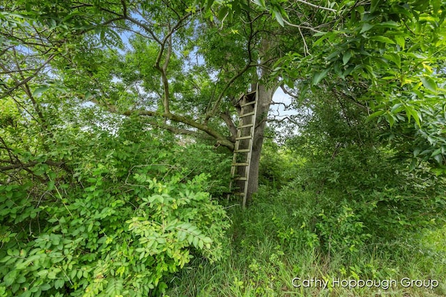 Cedar Lake Rd, Fenwick, MI 48834