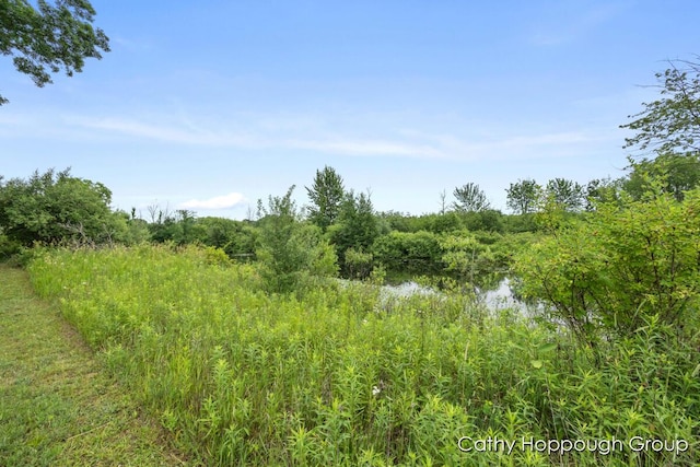 Cedar Lake Rd, Fenwick, MI 48834
