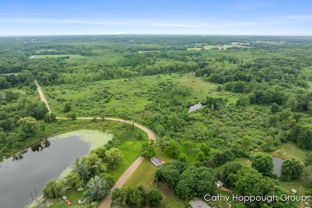Cedar Lake Rd, Fenwick, MI 48834