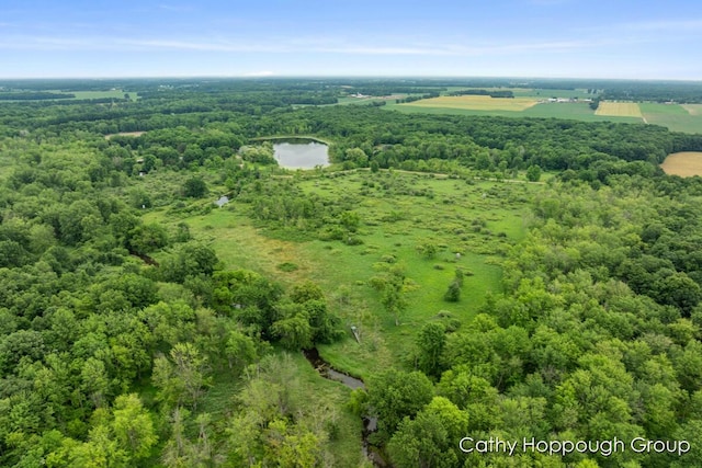 Cedar Lake Rd, Fenwick, MI 48834