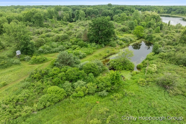 Cedar Lake Rd, Fenwick, MI 48834