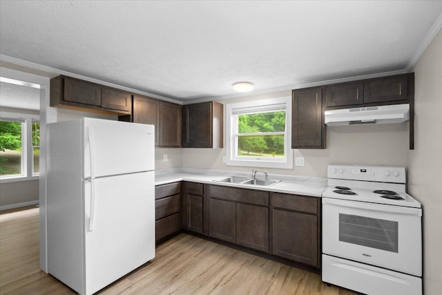 3630 Douglas Ave, Kalamazoo, MI 49004 - photo 7
