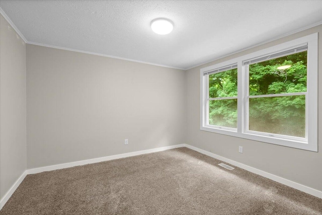 3630 Douglas Ave, Kalamazoo, MI 49004 - photo 9