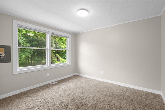 3630 Douglas Ave, Kalamazoo, MI 49004 - photo 10