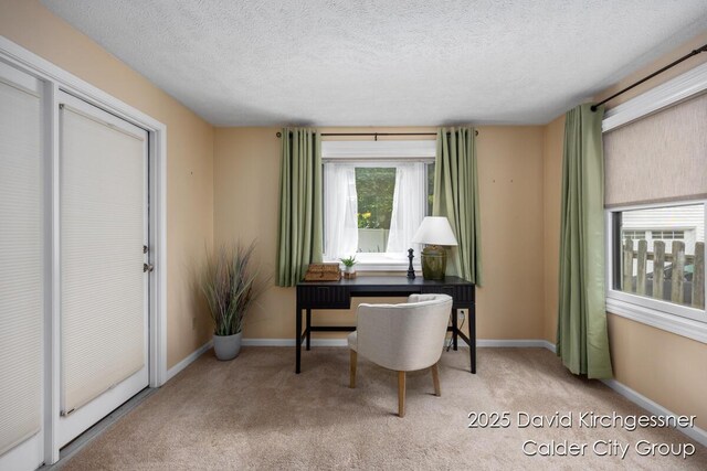 1052 Santa Cruz Dr SE, Grand Rapids, MI 49506 - carpeted office with a textured ceiling and baseboards