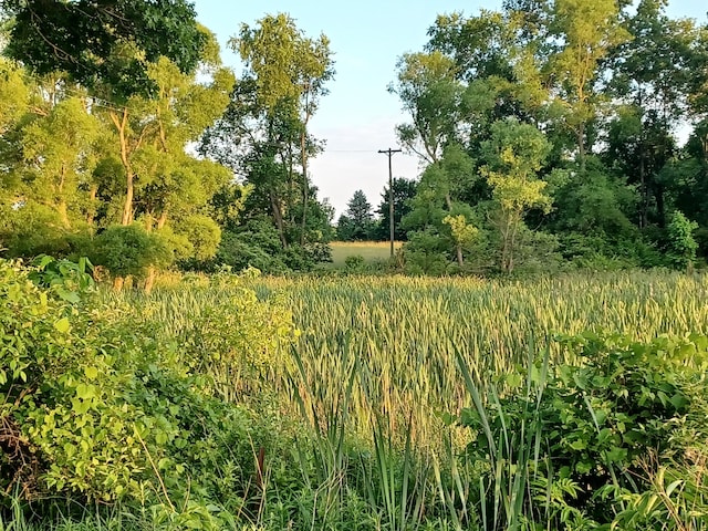 9250 92nd St SE, Alto, MI 49302 - photo 2