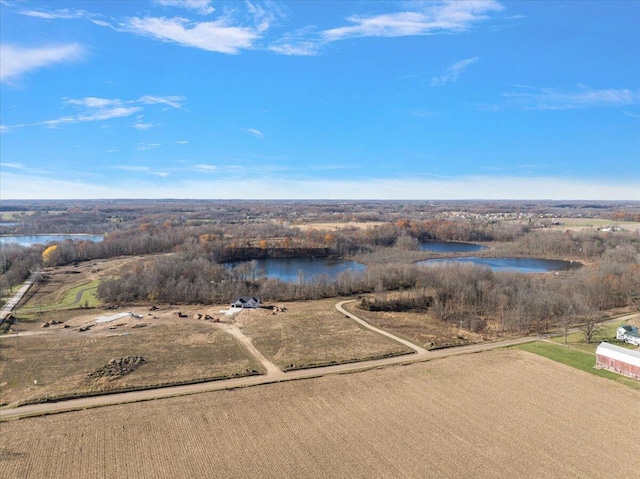 12379 Jenks St NE, Belding, MI 48809 - bird's eye view of a nearby body of water