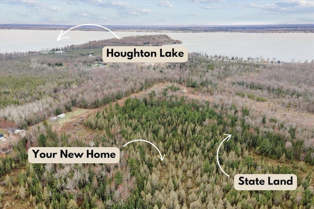 V/L N Townline Rd, Houghton Lake, MI 48629