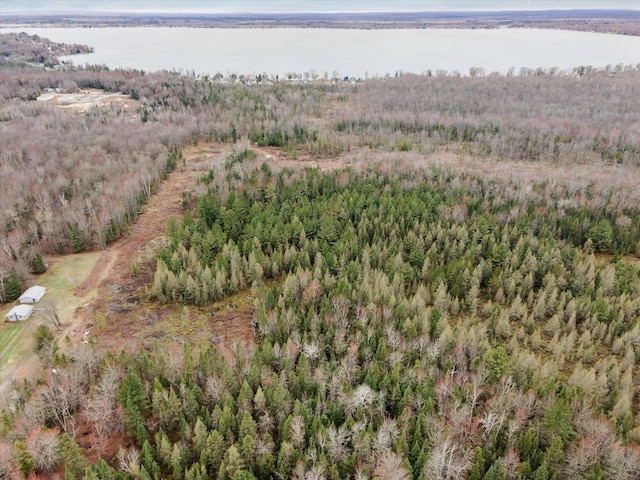 V/L N Townline Rd, Houghton Lake, MI 48629