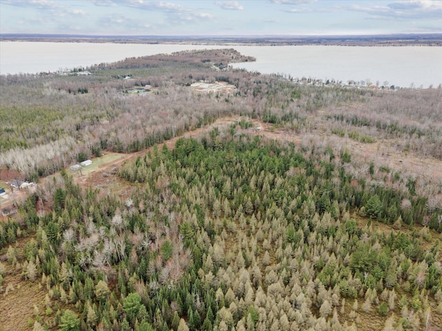 V/L N Townline Rd, Houghton Lake, MI 48629
