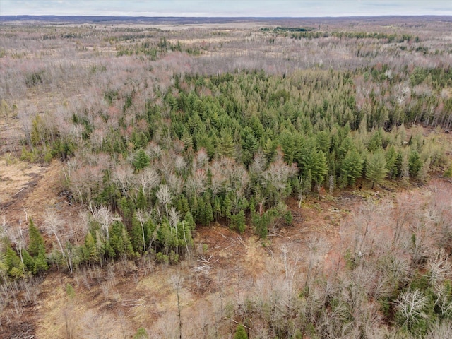 V/L N Townline Rd, Houghton Lake, MI 48629
